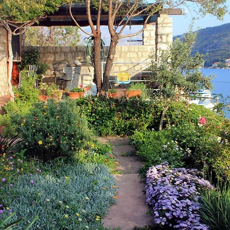 Seaside House With A Swimming Pool Mokosica, Dubrovnik - 8583 Holiday home Mokosica